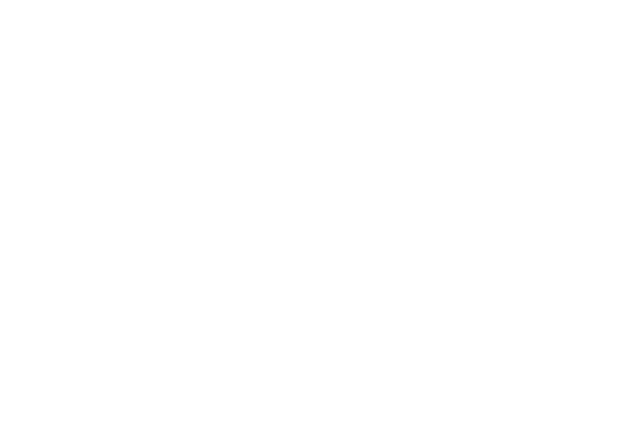 Model Canvas Model Canvas